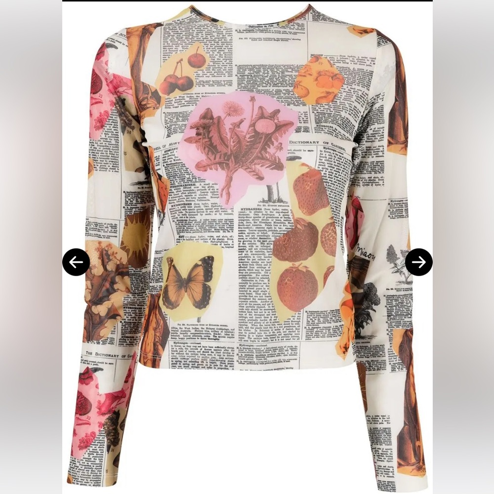 NWT Miaou :: Mesh Long Sleeve Top in Botany